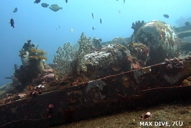 バリ島クブ，沈船ボガのデッキ甲板にある置物、サンゴ