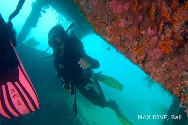バリ島オープウォーターダイバーコース、パダンバイの小さな沈船を通り抜け