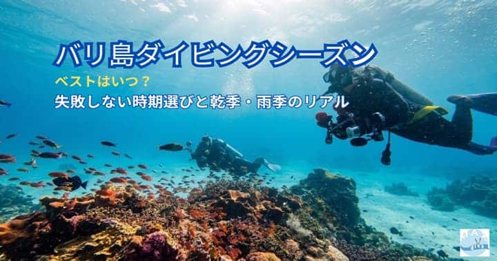 バリ島ダイビングシーズン,ベストはいつ?乾季と雨季のリアル