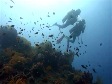 バリ島体験ダイビング，トランベンの沈船