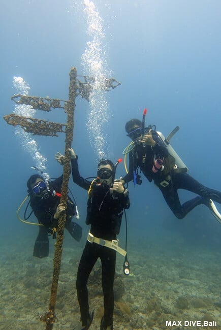 パダンバイの海を探検、PADIオープン・ウォーター・ダイバーコース