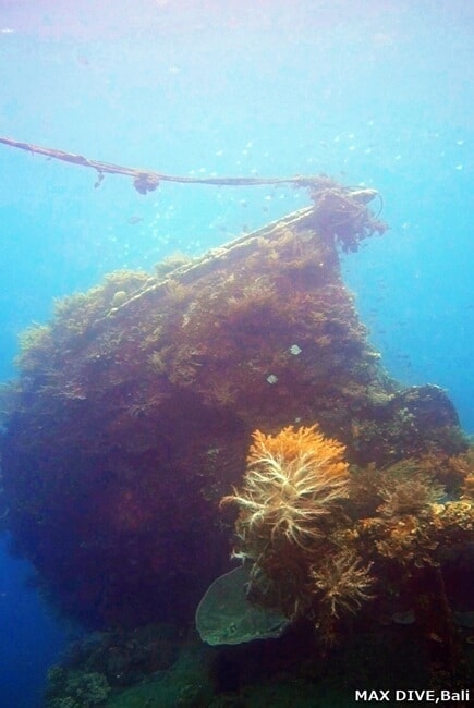 バリ島アメッドに沈むジャパニーズシップレック、日本の沈没船