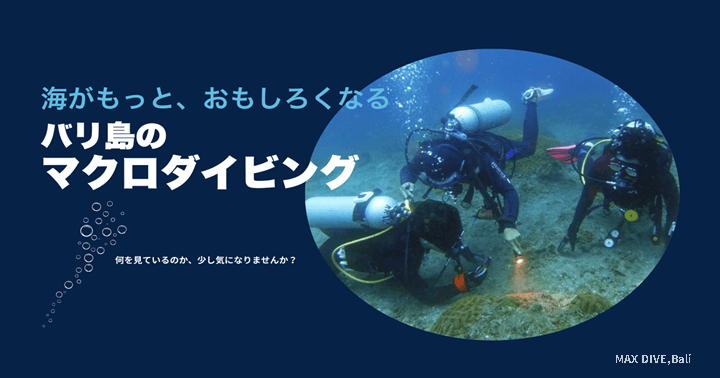 バリ島でマクロダイビングを始めてみよう