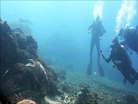 バリ島ダイビング、ヌサペニダでウミガメの写真を撮る
