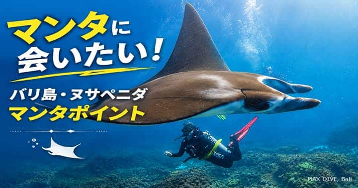 バリ島ヌサペニダのマンタポイント完全ガイド