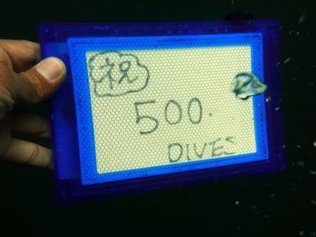 ヌサペニダで500本記念ダイビングを満喫