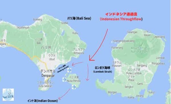 インドネシア通過流（ITF）を示す図、バリ島ヌサペニダ周辺