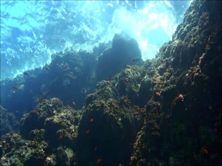 バリ島ダイビング，テペコン浅瀬は光が差し込みます