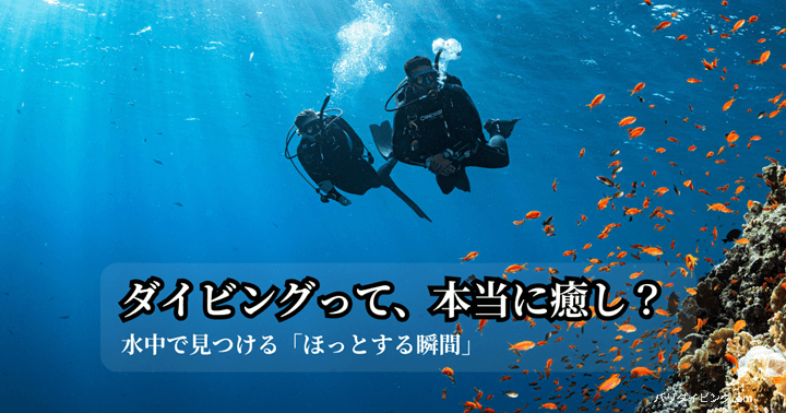 ダイビングと癒し、初心者ダイバー必見