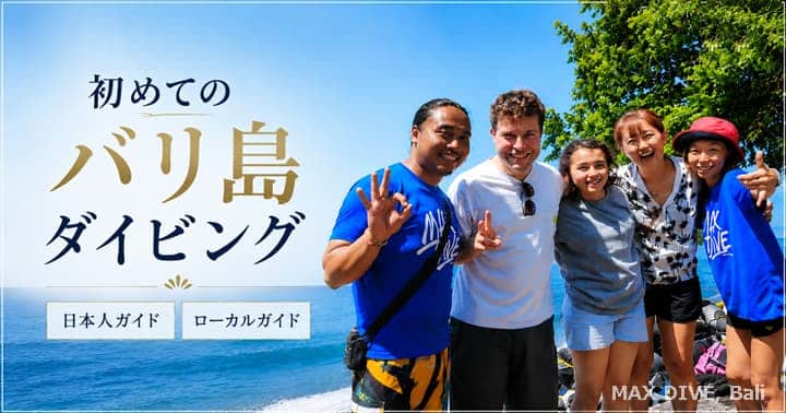 初めてのバリ島ダイビング、日本人ガイドとローカルガイド