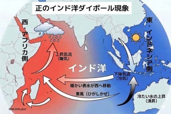 インド洋ダイポール現象（IOD）を説明する図