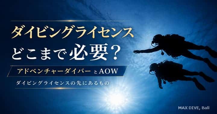 ダイビングライセンスはどこまで必要。AOWとアドベンチャーダイバーの違い