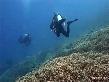 バリ島ヌサペニダ，サンゴの上をドリフトダイブ