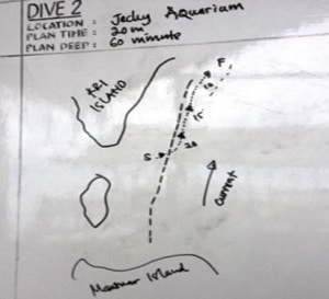Jecky-aquarium-day-4-1st-dive-300x273-1
