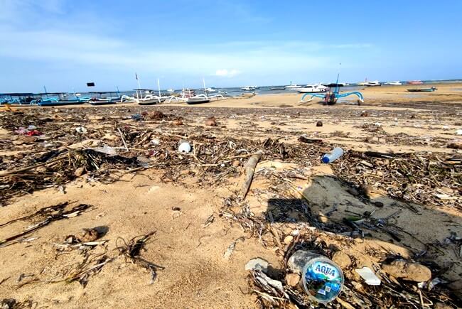 バリ島サヌールビーチのゴミ