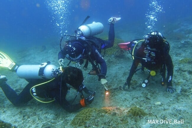 バリ島でマクロダイビングに初挑戦