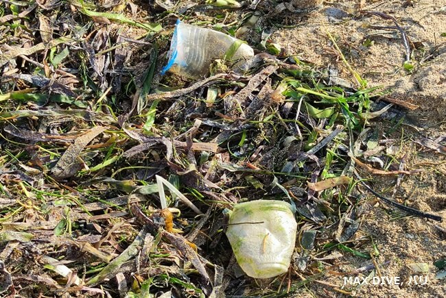 バリ島ビーチクリーンアップ活動，プラスチックごみ